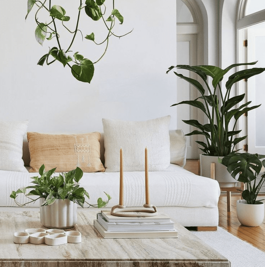 Round table for plants hotsell